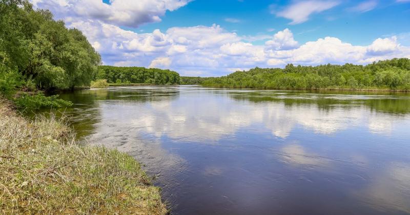 Забруднення річок Сейм і Десна стало результатом викидів з цукрового заводу на Курщині, повідомляє Міністерство екології.