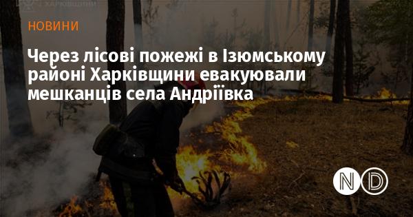 Унаслідок лісових пожеж в Ізюмському районі Харківської області було проведено евакуацію жителів села Андріївка.