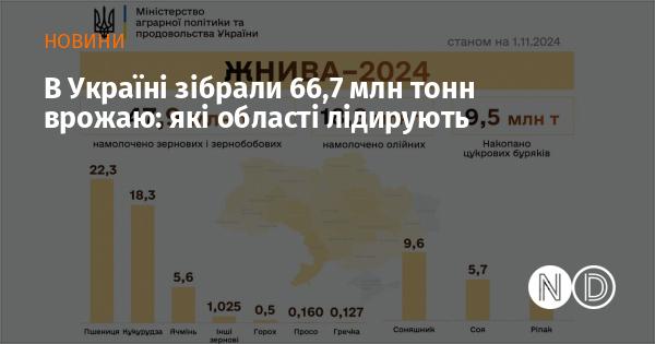 В Україні було зібрано 66,7 мільйона тонн урожаю: які регіони займають лідируючі позиції.