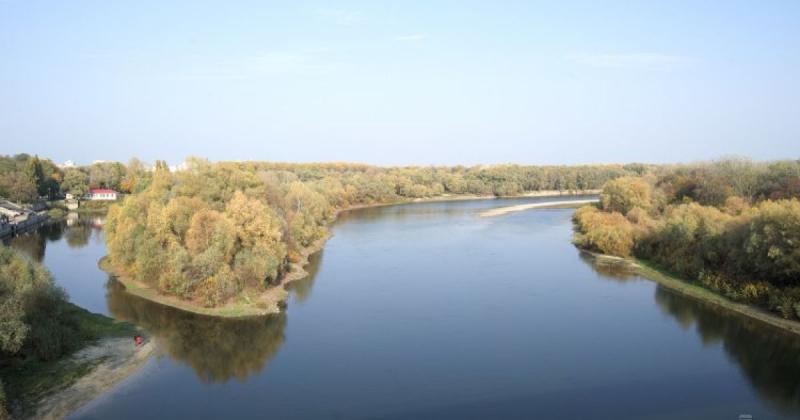 Сейм і Десну забруднили: що виявили у водах і яка небезпека?