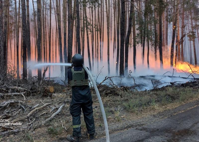 У національному парку в Донеччині вдалося загасити лісову пожежу, яка тривала протягом восьми днів.