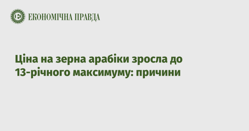 Вартість зерен арабіки досягла найвищого рівня за останні 13 років: фактори, що вплинули.