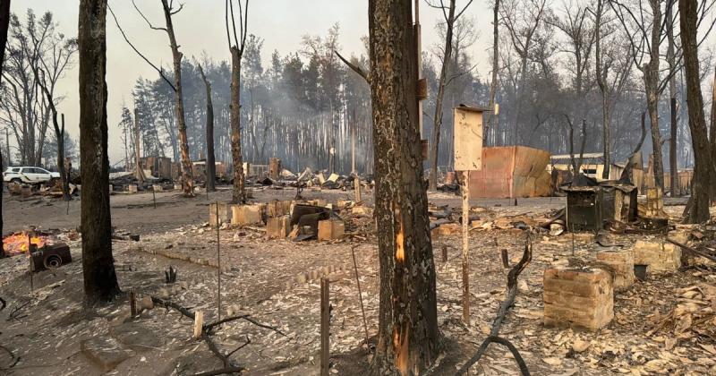 Лісова пожежа роз devastated селище в Харківській області: більше тисячі будівель знищено, чотири людини загинули - Новини bigmir)net