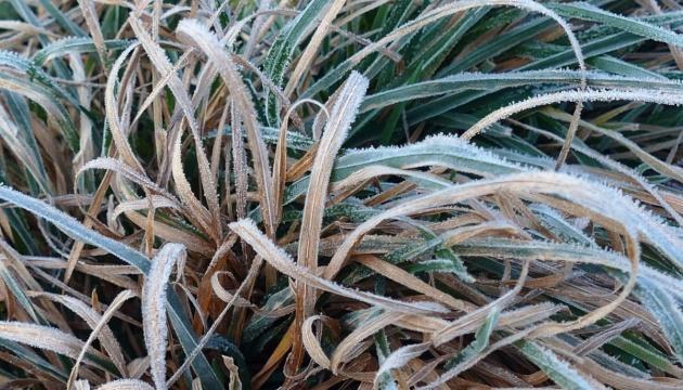 У неділю в Києві прогнозують заморозки.