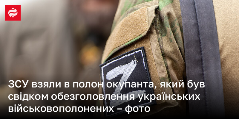 Збройні сили України захопили в полон окупанта, який став свідком жахливого вбивства українських військовослужбовців - фото.